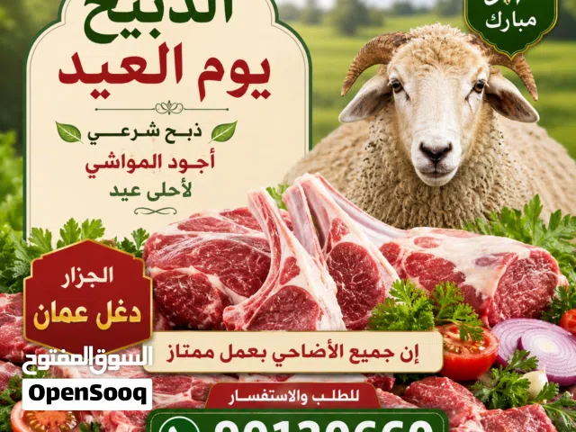 جزار اضحي العيد