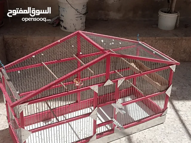 السلام عليكم ورحمه الله وبركاته قفص للطيور الرجاء عدم الاتصال على الرقم هاذ بتابع التعليقات شكرا