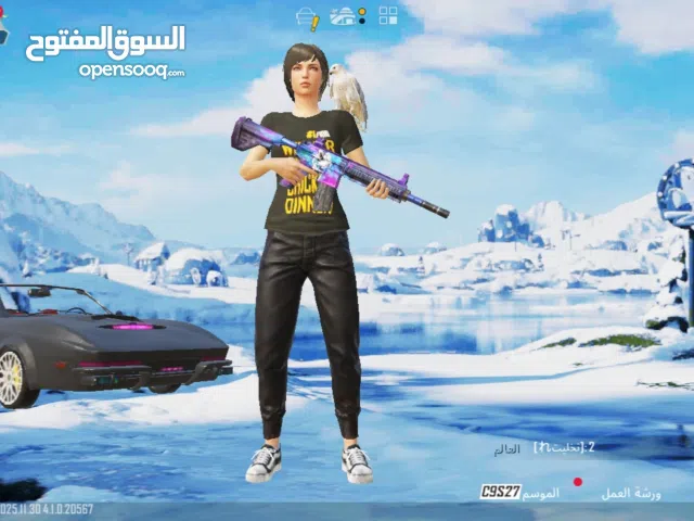 Pubg Accounts and Characters for Sale in Hun