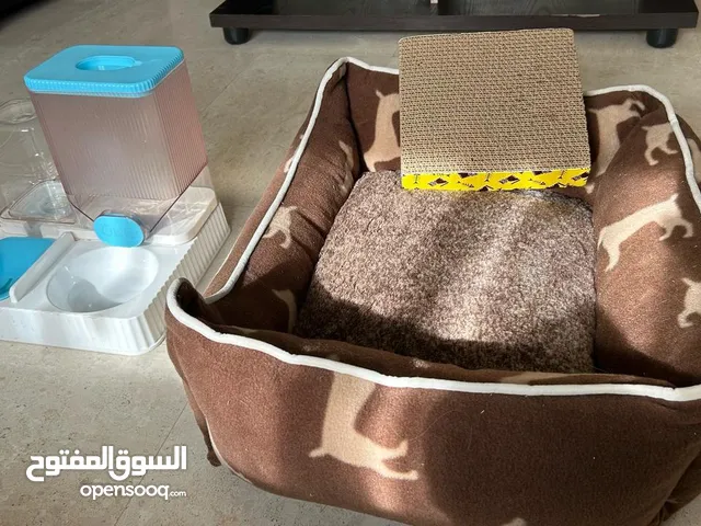 اغراض بسة للبيع