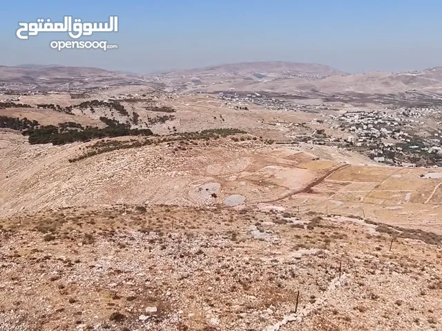 ارض للبيع بمنطقه عين كاكوب امتدات المساكن الشعبيه