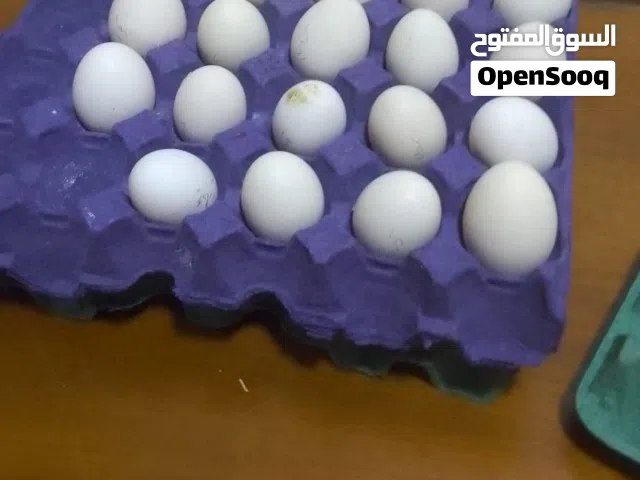 بيض دجاج للبيع