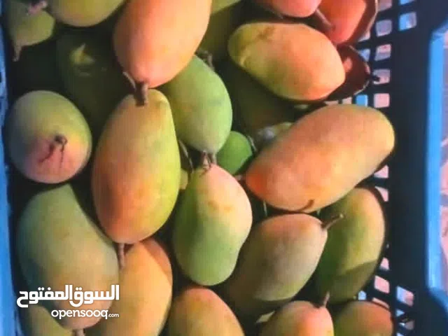 فواكه بالجملة