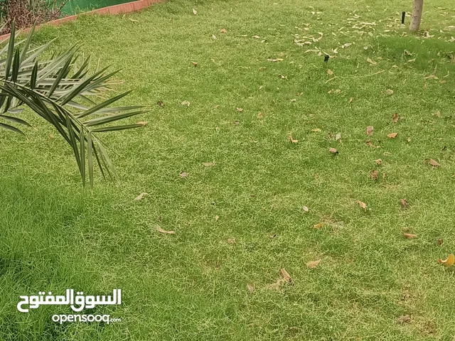 بيت للبيع ابي الخصيب طريق الوسطي قرب المدرسه الصفره