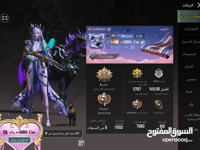 Pubg Accounts and Characters for Sale in Al Khums