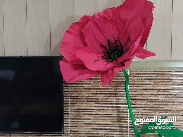 زهور عملاقة