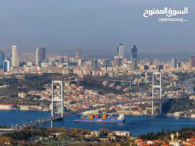 Arabic Teacher in Istanbul