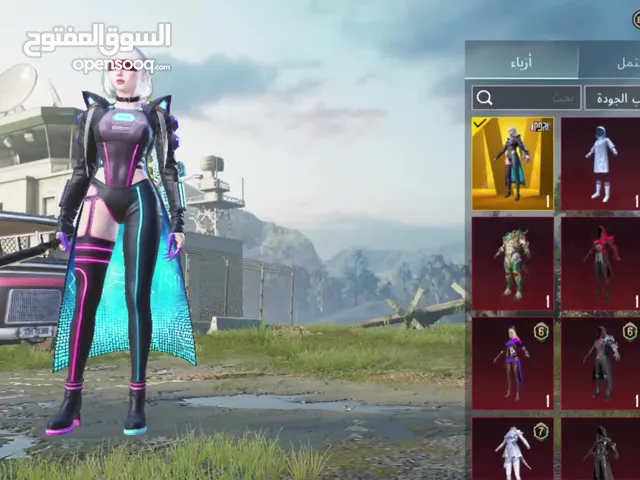 حساب ببجي مرتب
