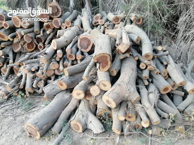 للبيع حطب سمر شي كبار وشي متوسط الاحجام
