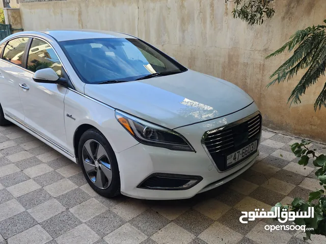 Used Hyundai Sonata in Amman