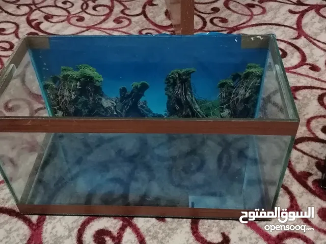 حوض سمك شبه جديد