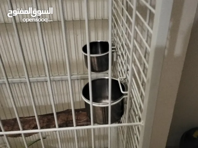 BIG BIRDCAGE FoR SALE