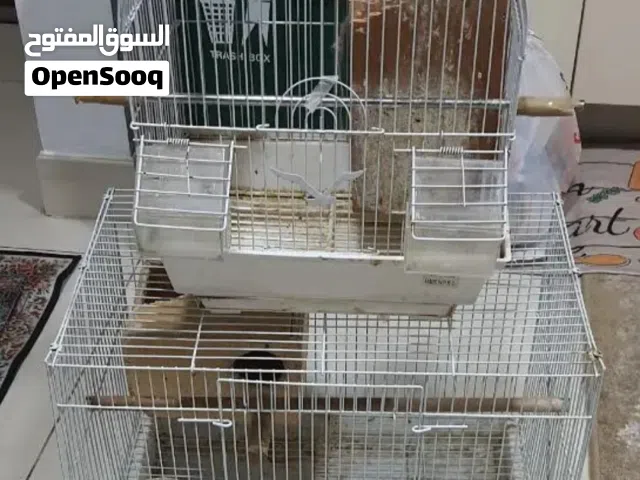 Big cage(Buy 1 get 1 free) for birds