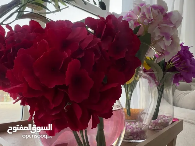 حوض سمك مزهريه