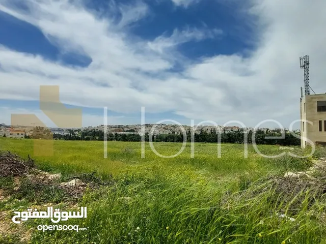 Residential Land for Sale in Amman Hjar Al Nawabilseh