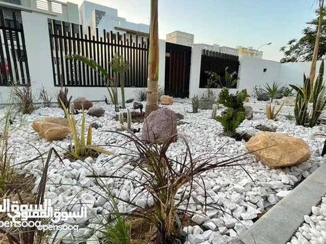 حجر زينة بكل الأحجام