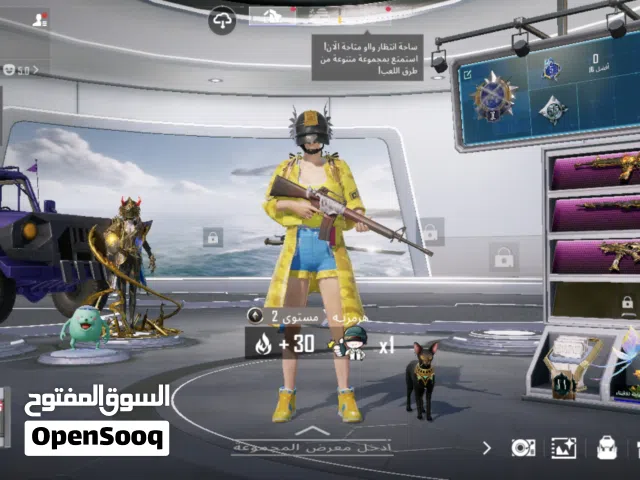 Pubg Accounts and Characters for Sale in Tripoli