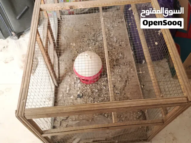 قفص للبيع نضيف ومرتب وجبير