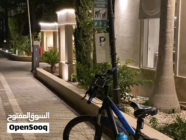 عجل ستورم..