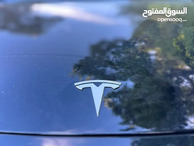 Used Tesla Model 3 in Salt