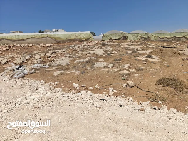 ارض للبيع في منطقه السموع تصنيف الف