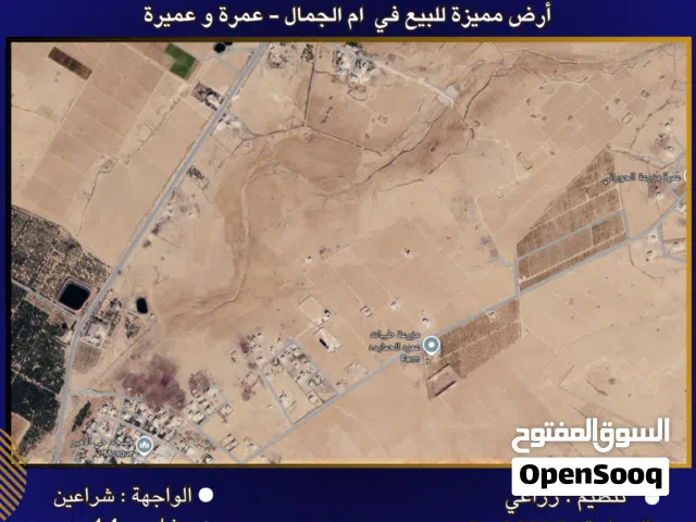 Farm Land for Sale in Mafraq Um Al Jimal