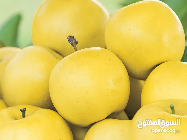 التفاح الذهبي والأحمر