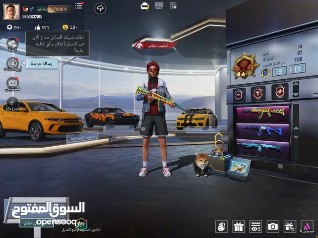 حساب ببجي عالمي لفل81