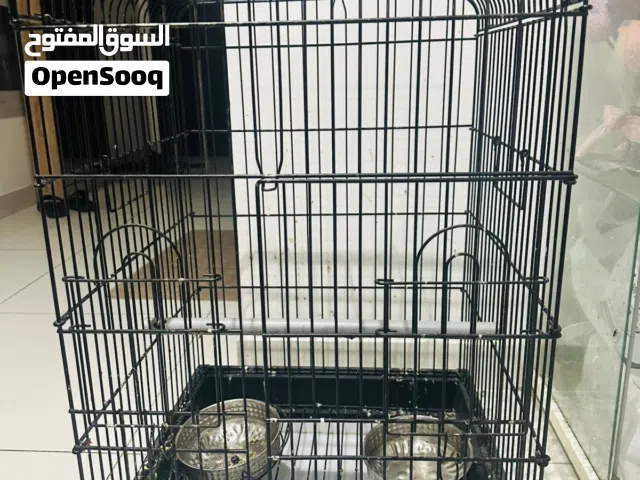 Bird Cage for sell