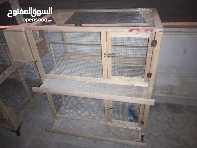 قنون طيور بحال الجديد للبيع