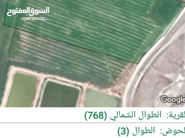 عرض رقم  292    ارض للبيع من أراضي دير علا ( قطعتين ) الطوال الشمالي منطقة الزور مساحة  29,389