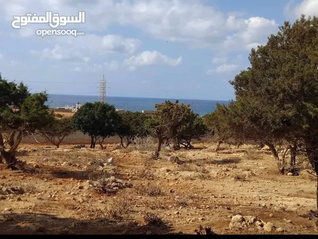 Mixed Use Land for Sale in Jebel Akhdar Cyrene