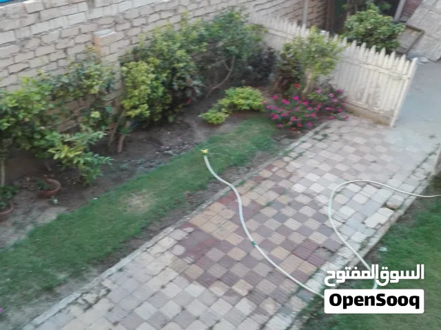 110 m2 2 Bedrooms Apartments for Rent in Alexandria Agami