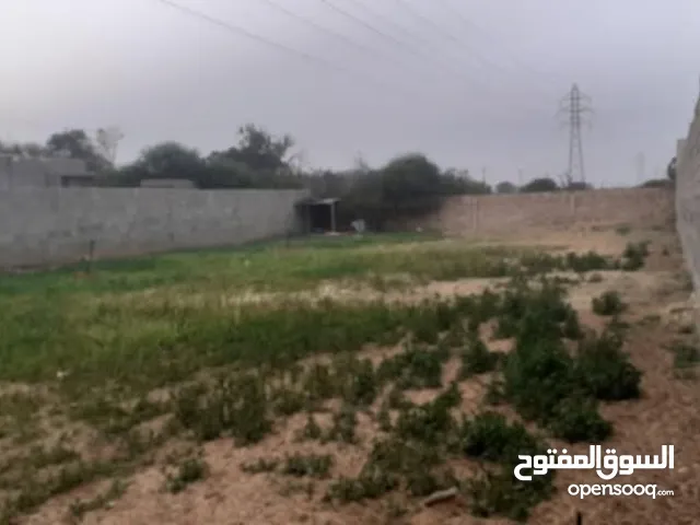 Mixed Use Land for Sale in Tripoli Tajura