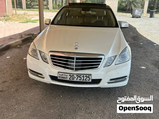 2013 Mercedes Benz E-Class E 300