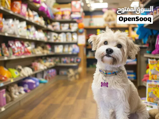 Running Pet Shop & Grooming for sale