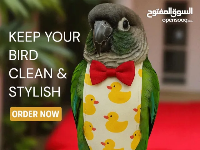 حفاضات طيور / حبل طيران / العاب / مسبح للطيور / ملابس / ارجوحات / العاب تقطيع