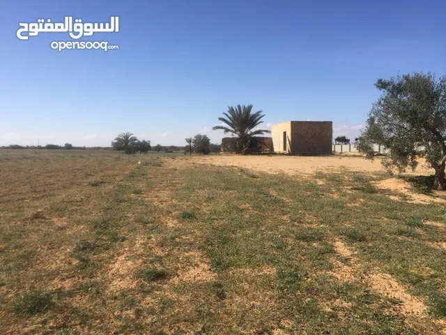 Farm Land for Sale in Jumayl Other
