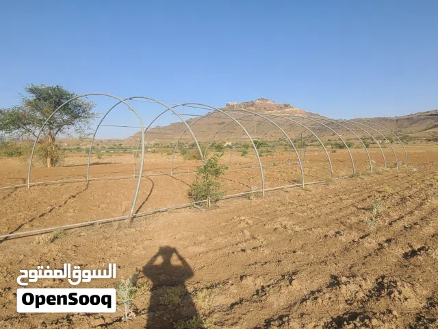 بيت محمي زراعي
