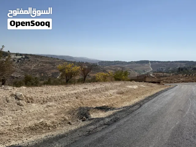 Residential Land for Sale in Amman Naour