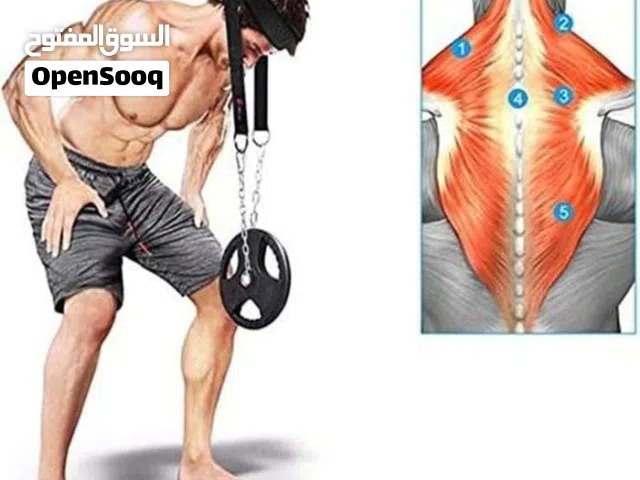 حمالة اثقال لتمارين الرأس و الرقبة