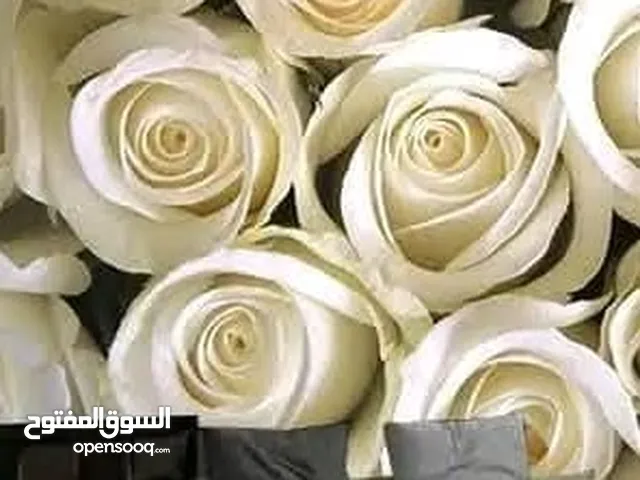 ورق الحائــــــــــــط ثلاثي الأبعاد بتصاميم عصرية تبهر العين وتضفي لمسة فاخرة على كل ركن في منزلك