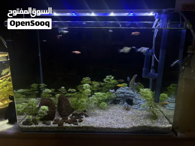 حوض كبير للبيع اقرأ الوصف
