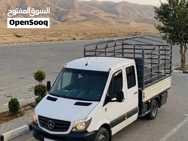 2010 Mercedes Benz Other Sprinter