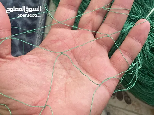 أبحث عن ليخ صيمه