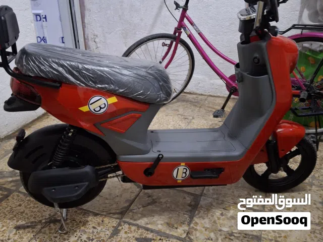 2024 اخرى اخرى
