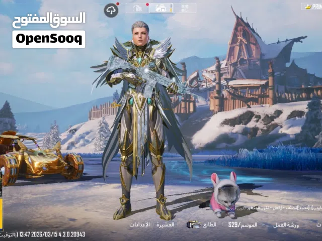 Pubg Accounts and Characters for Sale in Al Batinah