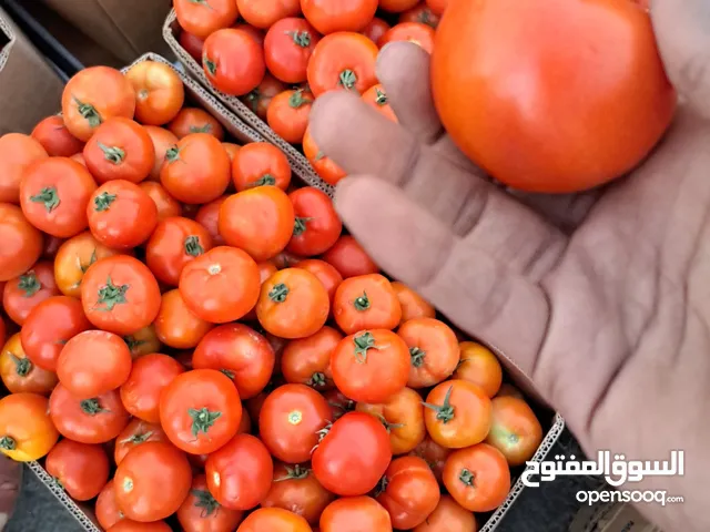 مندوب وموزع خضار