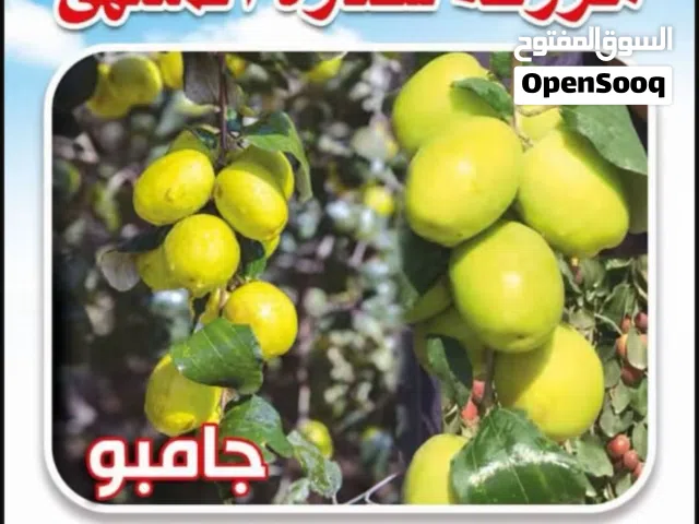مزرعه للتنازل