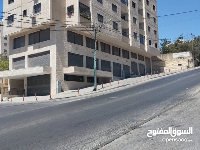 حازم قفيشة